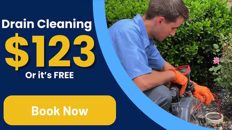 Drain cleaning special